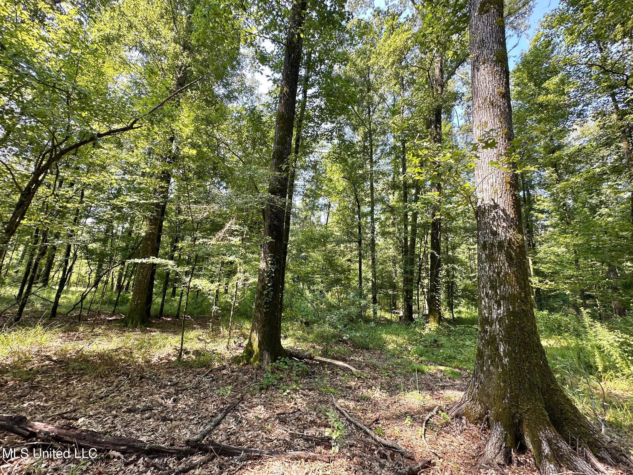 6145 Dry Grove Road Terry, MS 39170 - Photo 57 of 95 80