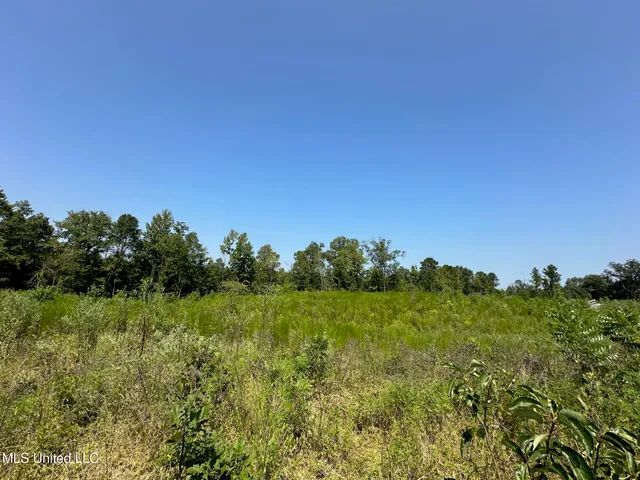 $4,420,000 | 6145 Dry Grove Road, Terry, MS 39170