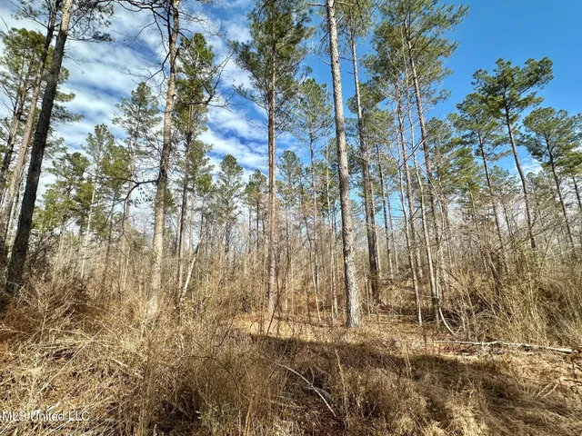 $3,879,000 | 6145 Dry Grove Road, Terry, MS 39170