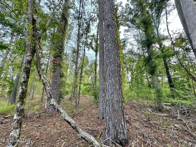 $4,420,000 | 6145 Dry Grove Road, Terry, MS 39170