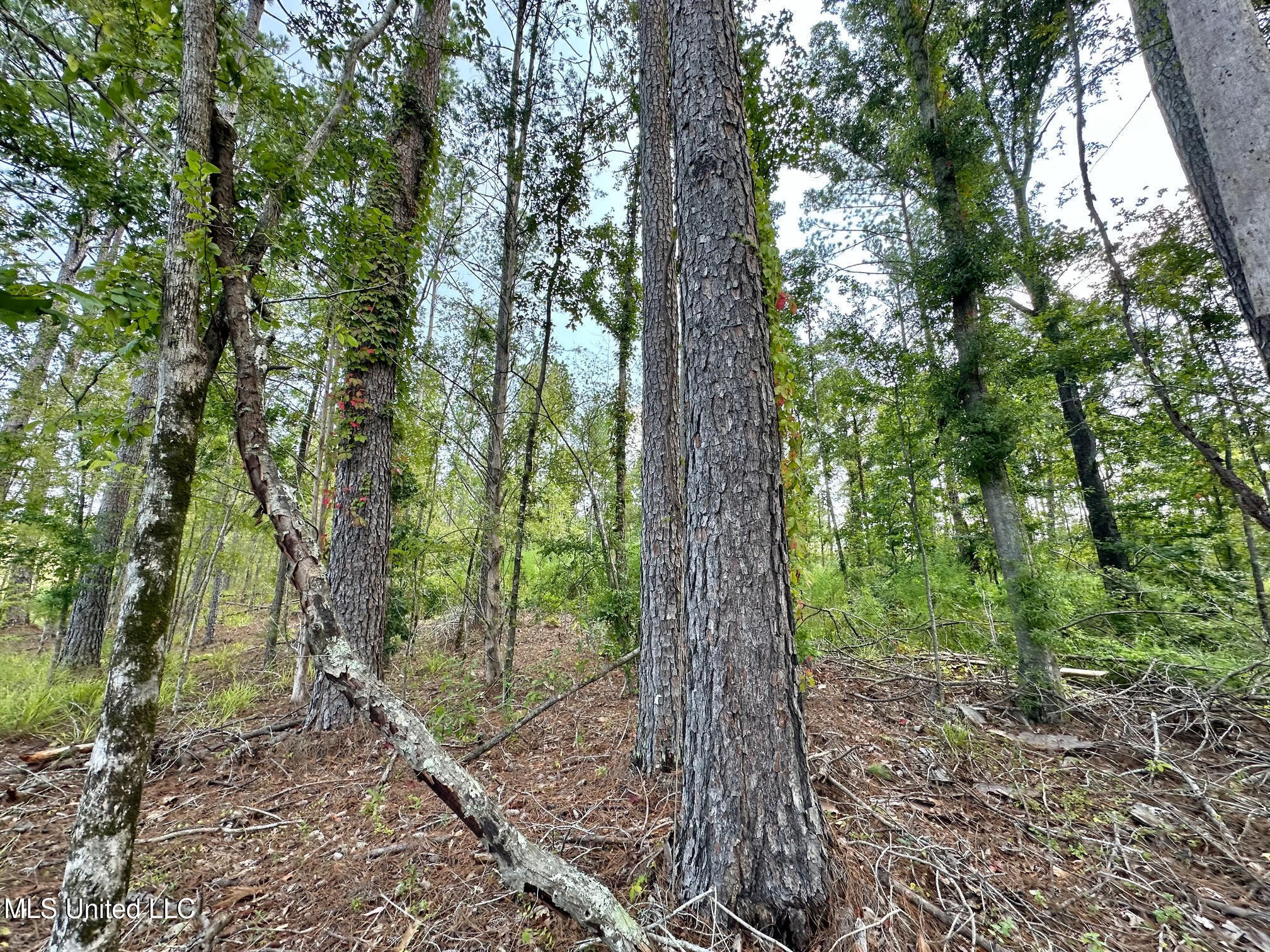 6145 Dry Grove Road Terry, MS 39170 - Photo 62 of 95 86