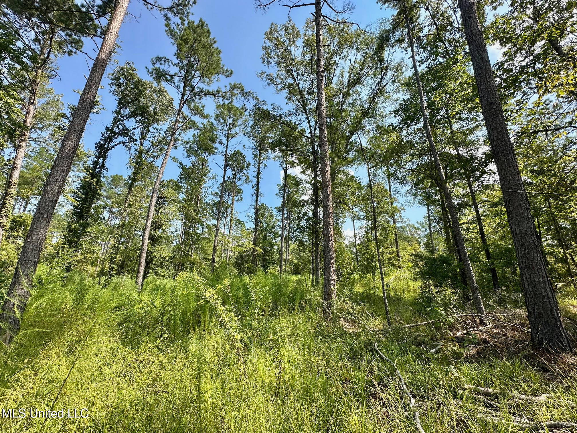 6145 Dry Grove Road Terry, MS 39170 - Photo 63 of 95 87