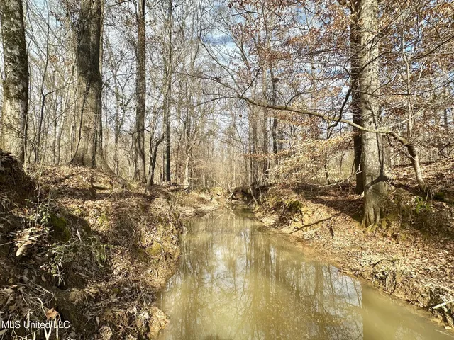 $3,879,000 | 6145 Dry Grove Road, Terry, MS 39170