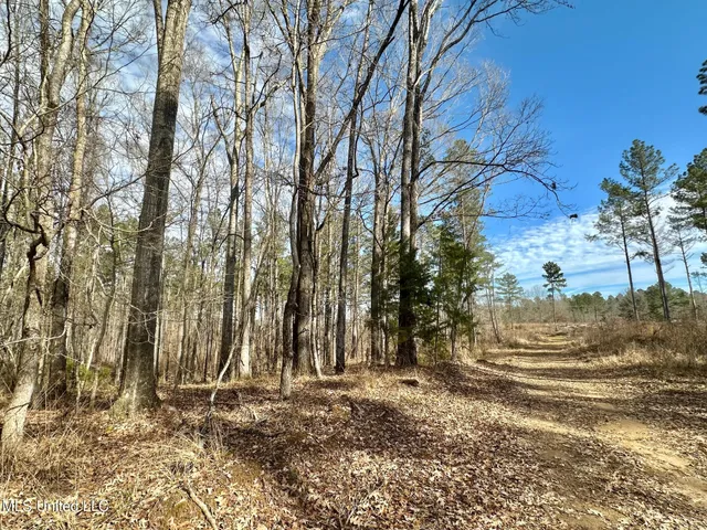 $3,879,000 | 6145 Dry Grove Road, Terry, MS 39170