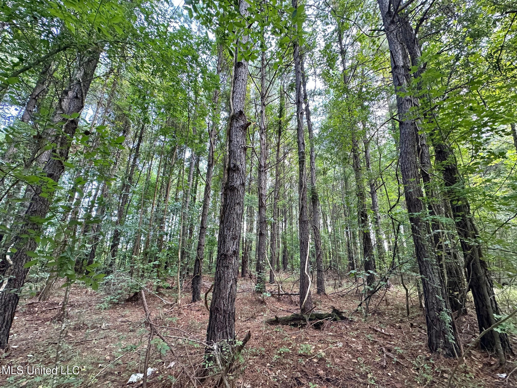 6145 Dry Grove Road Terry, MS 39170 - Photo 66 of 95 94