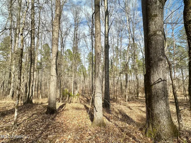 $3,879,000 | 6145 Dry Grove Road, Terry, MS 39170