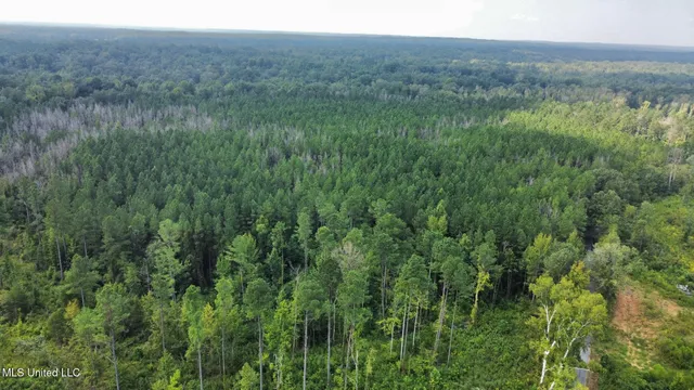 $4,420,000 | 6145 Dry Grove Road, Terry, MS 39170