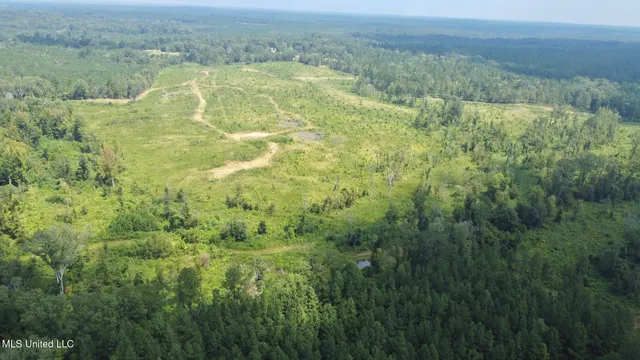 $4,420,000 | 6145 Dry Grove Road, Terry, MS 39170