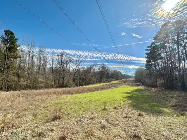 $3,879,000 | 6145 Dry Grove Road, Terry, MS 39170