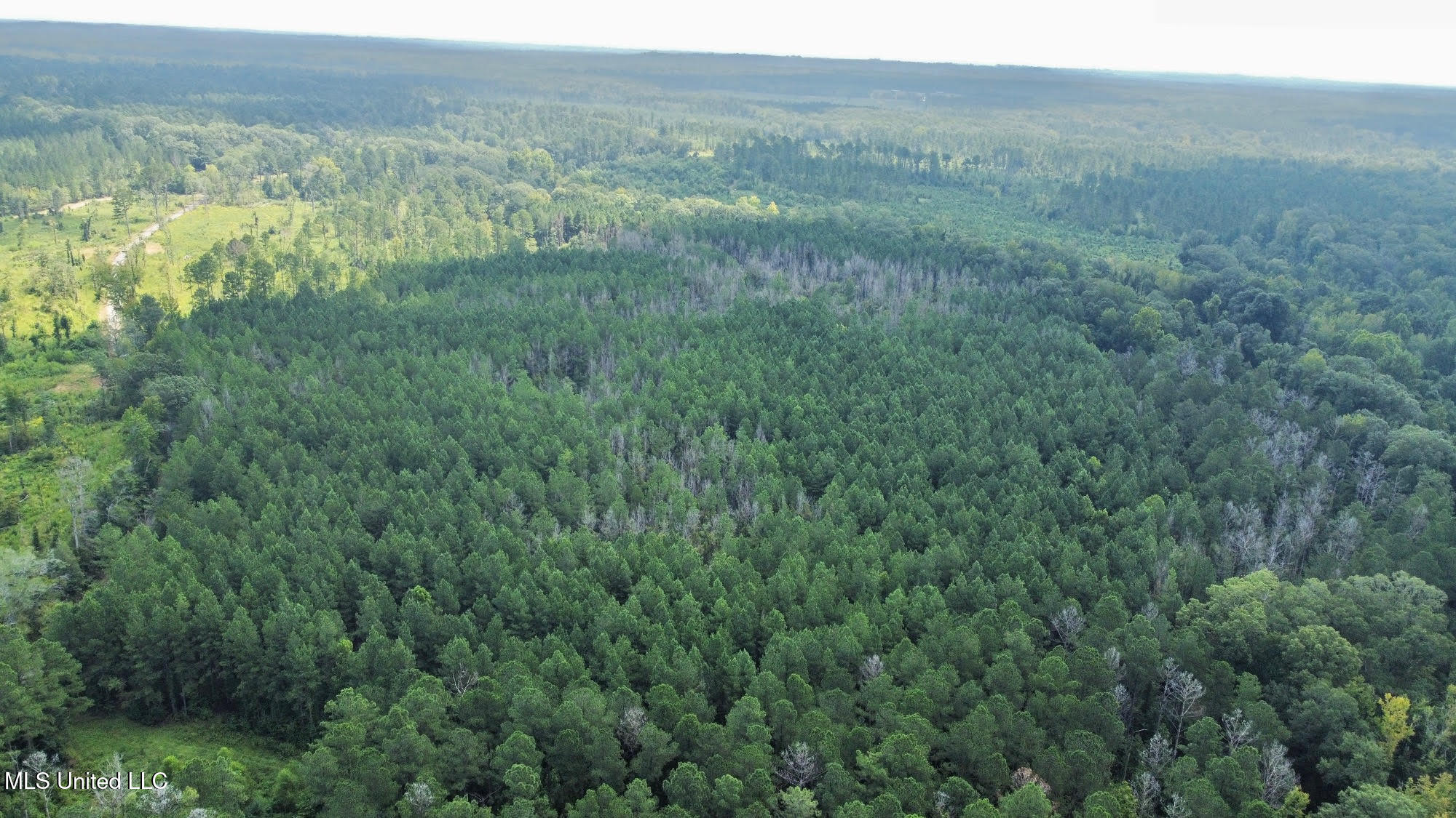 6145 Dry Grove Road Terry, MS 39170 - Photo 69 of 95 100