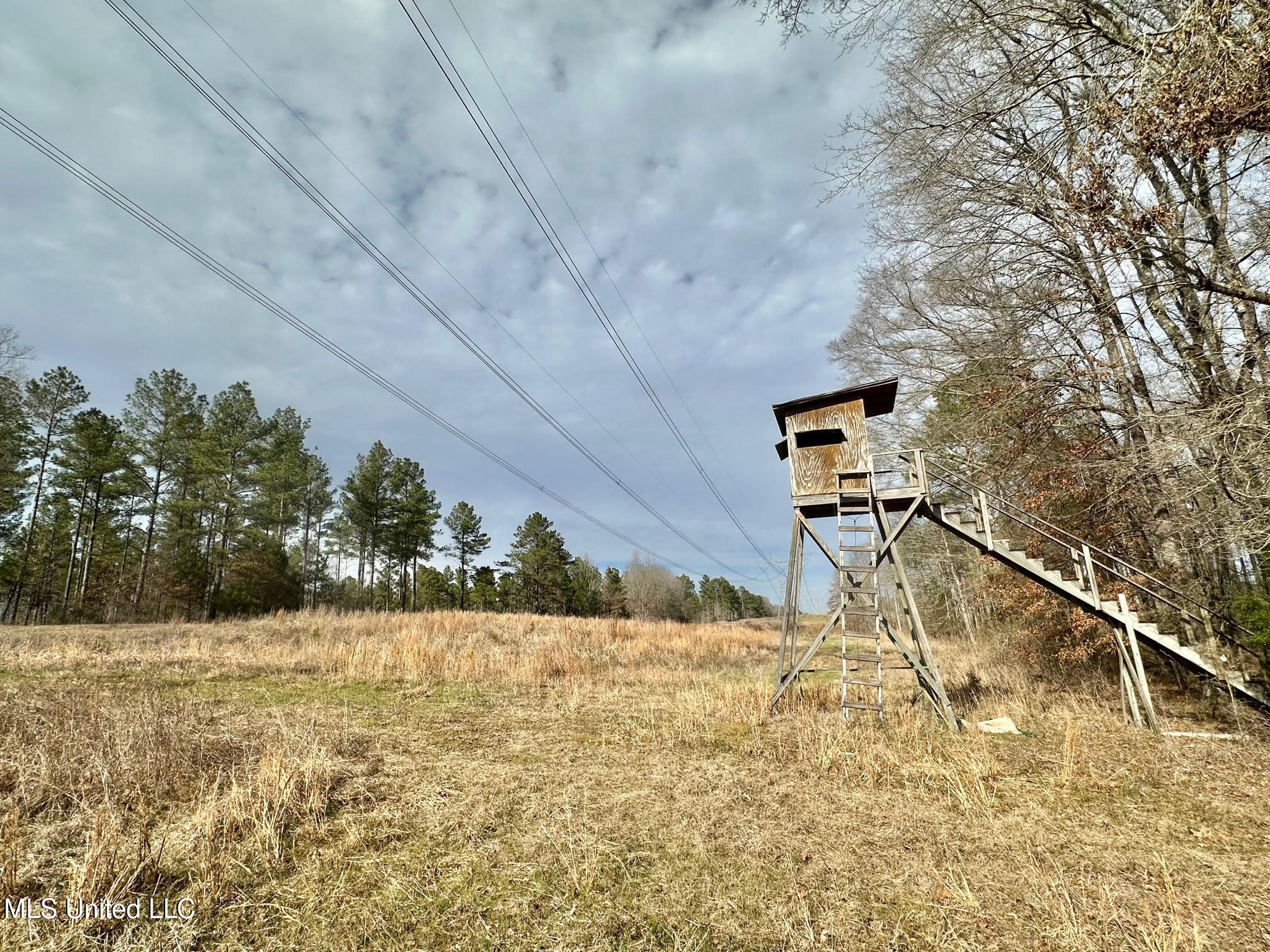 6145 Dry Grove Road Terry, MS 39170 - Photo 70 of 107 645 - Copy