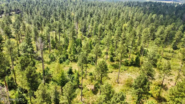 $4,420,000 | 6145 Dry Grove Road, Terry, MS 39170