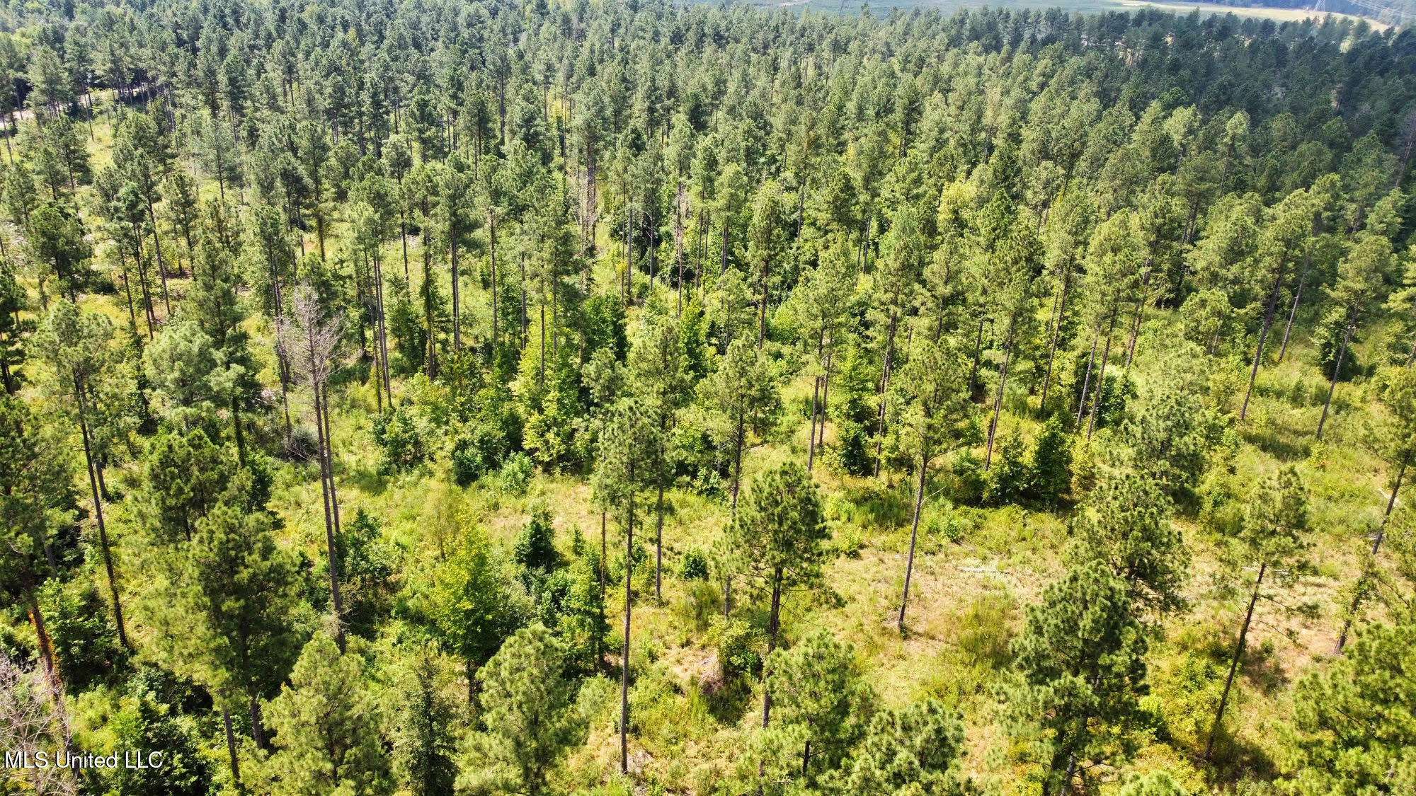 6145 Dry Grove Road Terry, MS 39170 - Photo 78 of 95 117