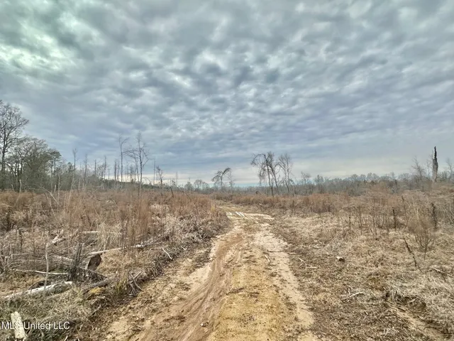 $3,879,000 | 6145 Dry Grove Road, Terry, MS 39170