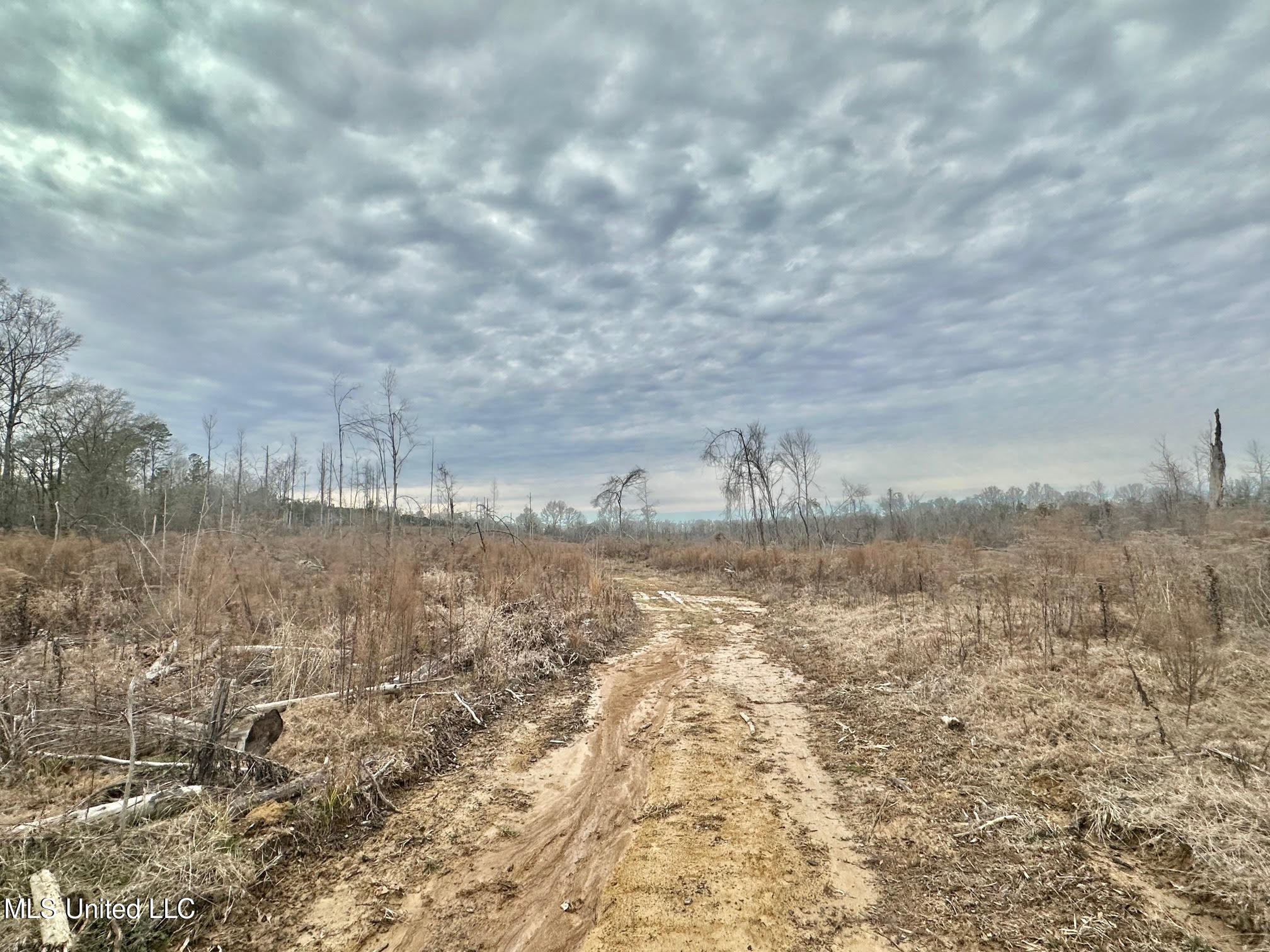 6145 Dry Grove Road Terry, MS 39170 - Photo 80 of 107 661 - Copy