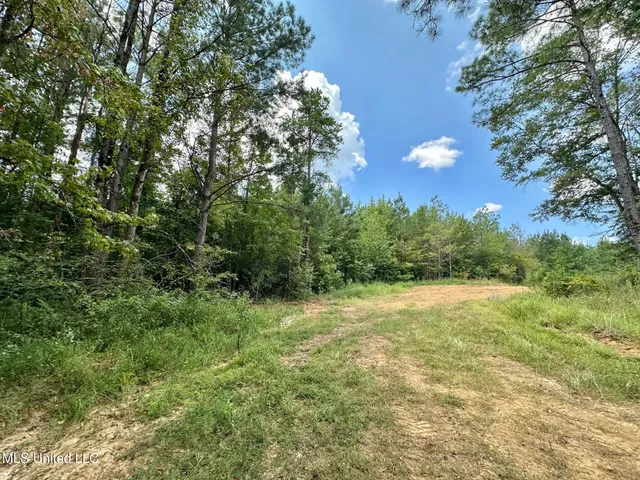 $4,420,000 | 6145 Dry Grove Road, Terry, MS 39170