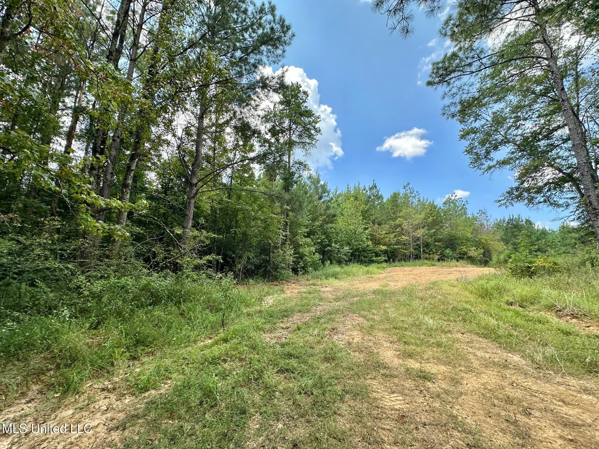 6145 Dry Grove Road Terry, MS 39170 - Photo 8 of 95 8