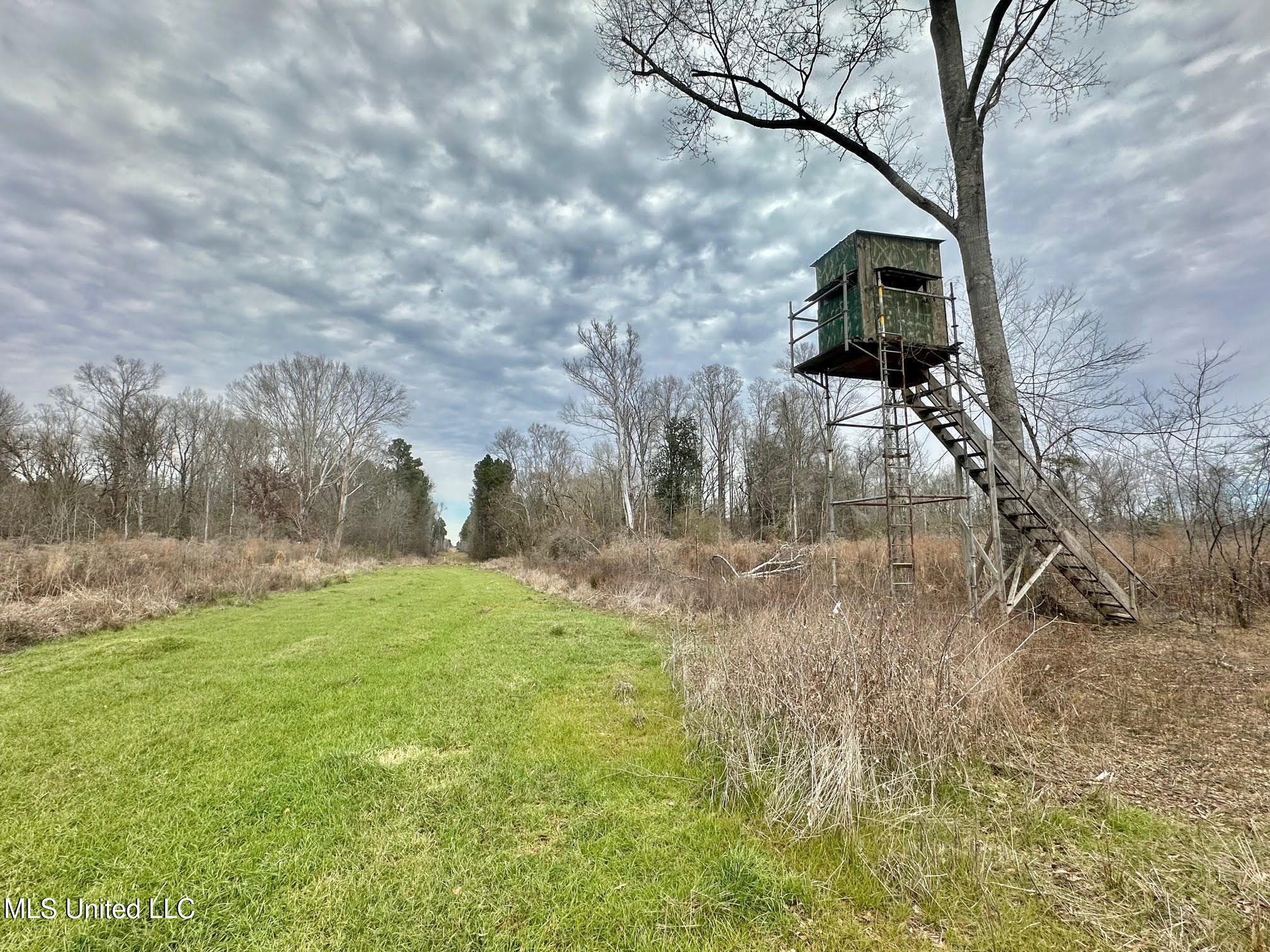6145 Dry Grove Road Terry, MS 39170 - Photo 81 of 107 664 - Copy
