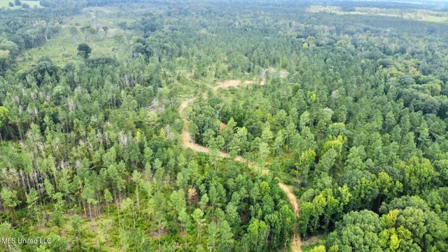 $4,420,000 | 6145 Dry Grove Road, Terry, MS 39170