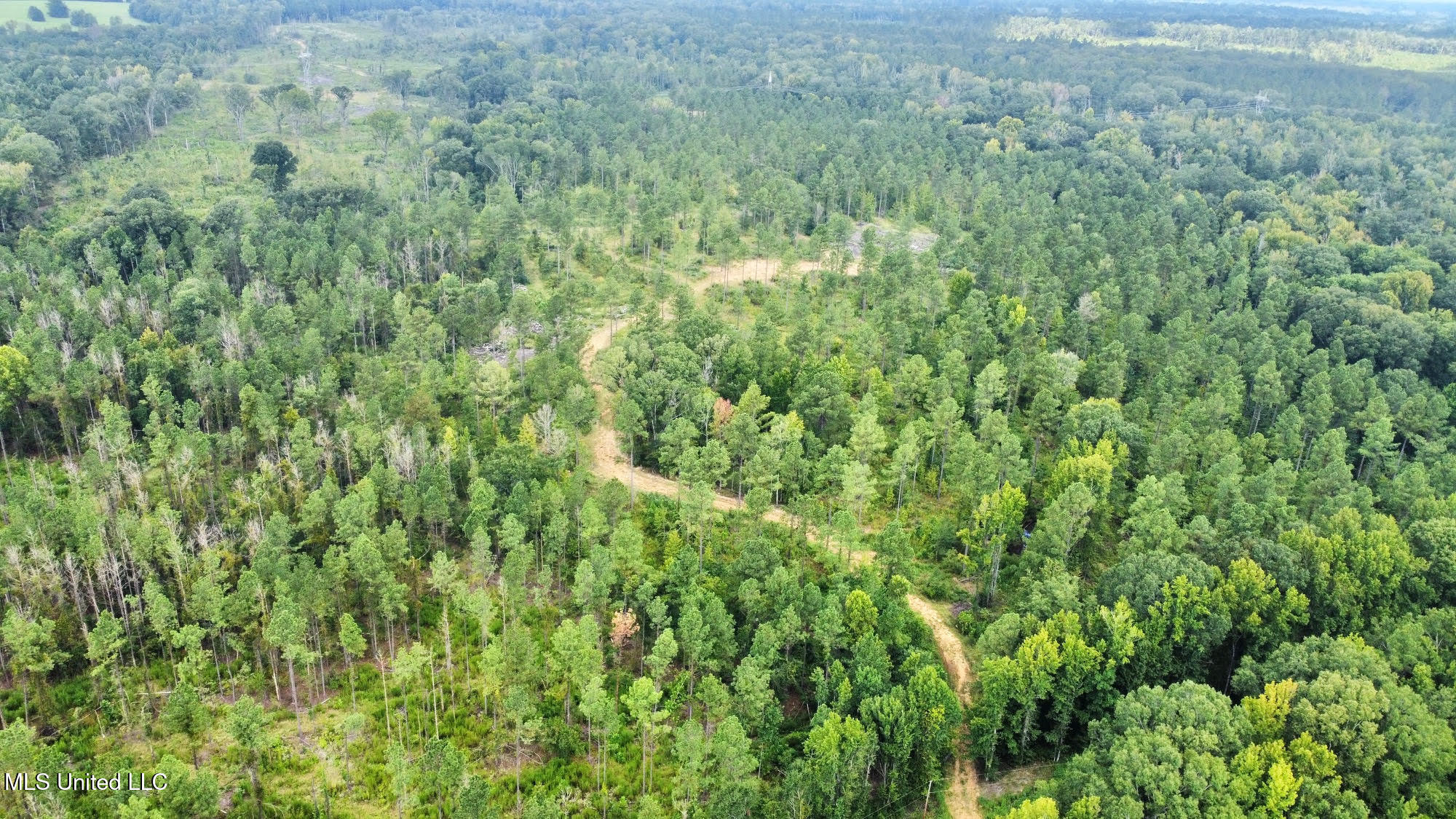 6145 Dry Grove Road Terry, MS 39170 - Photo 81 of 95 123