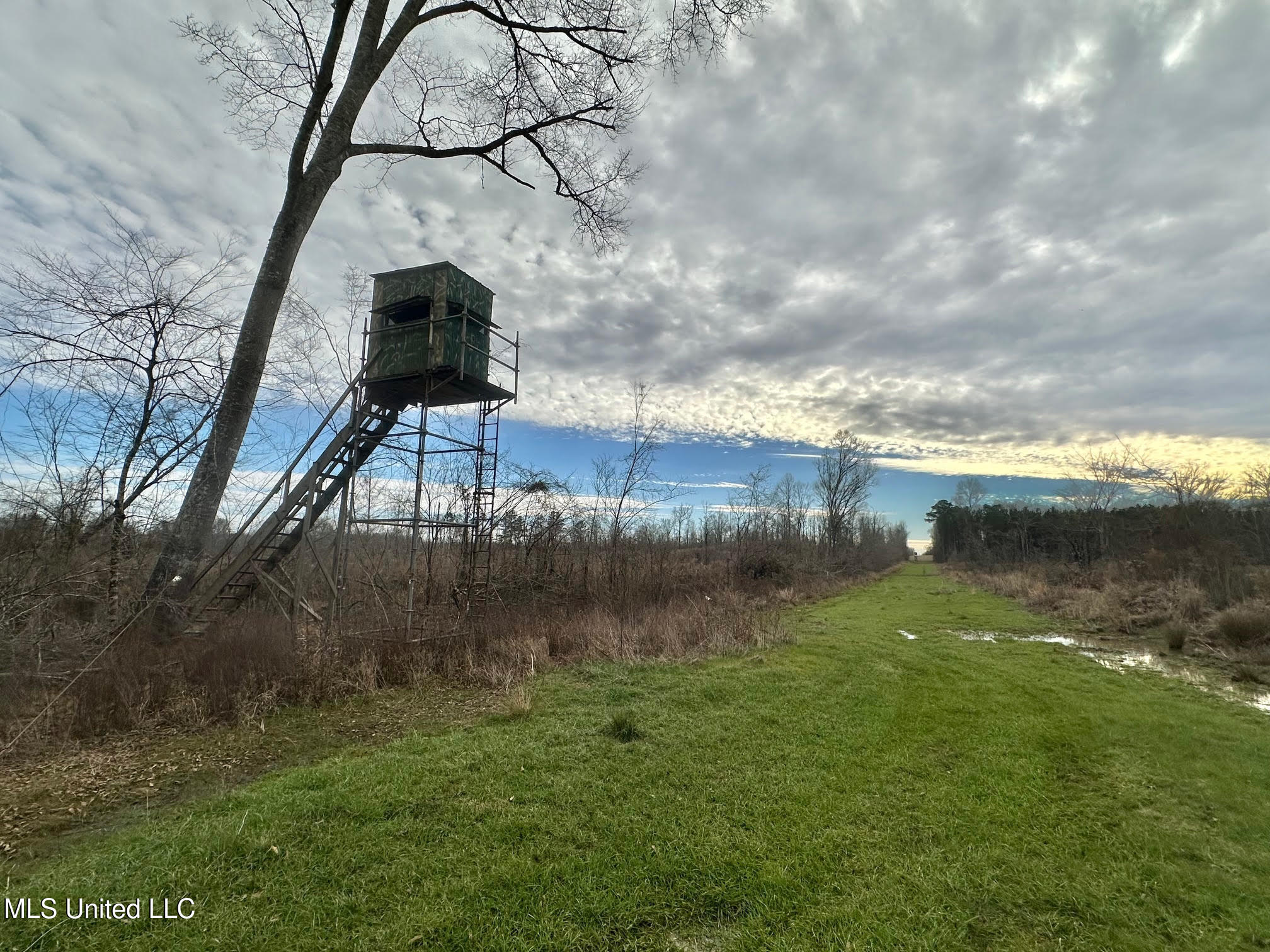 6145 Dry Grove Road Terry, MS 39170 - Photo 82 of 107 665 - Copy