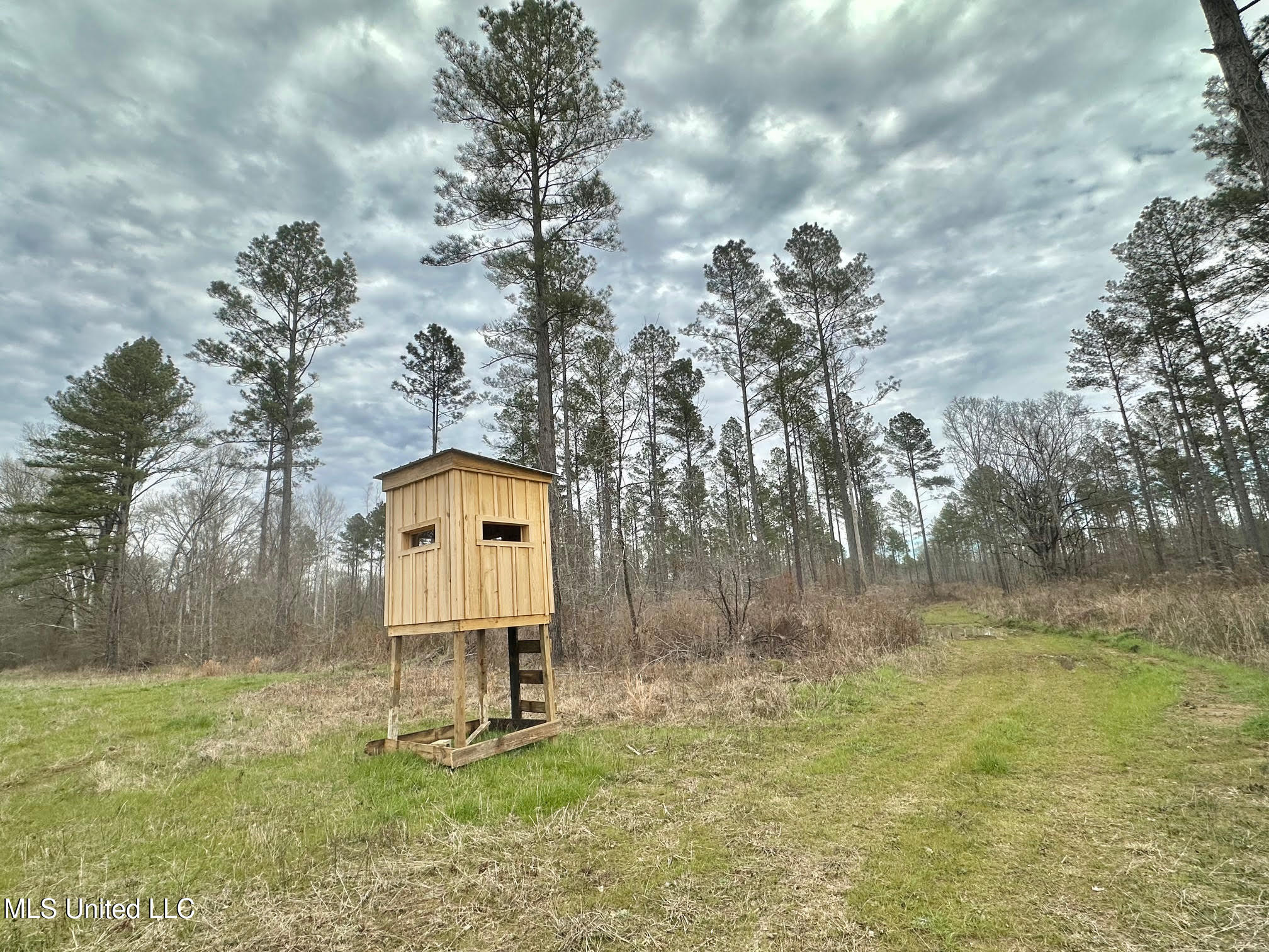 6145 Dry Grove Road Terry, MS 39170 - Photo 84 of 107 670 - Copy