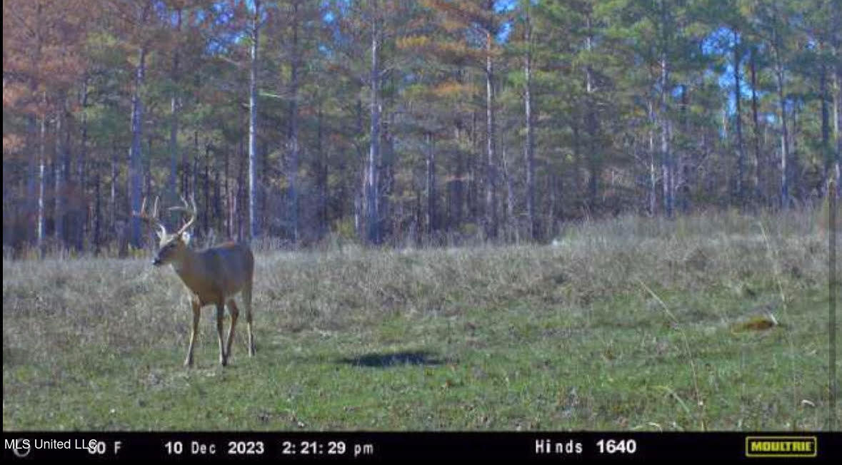 6145 Dry Grove Road Terry, MS 39170 - Photo 84 of 95 128
