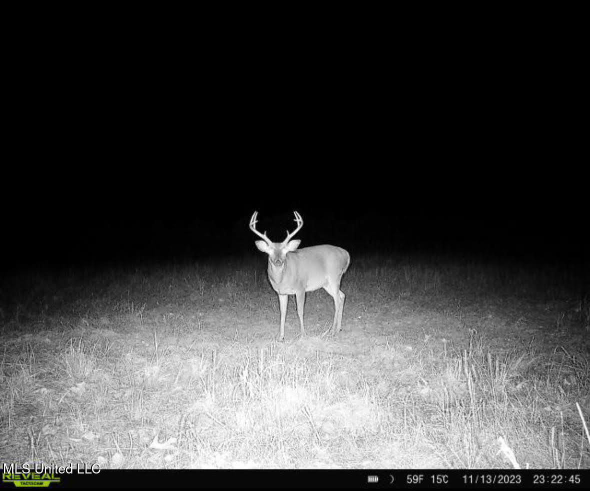 6145 Dry Grove Road Terry, MS 39170 - Photo 85 of 95 130