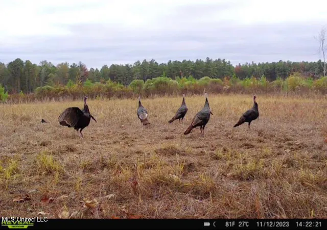 $4,420,000 | 6145 Dry Grove Road, Terry, MS 39170