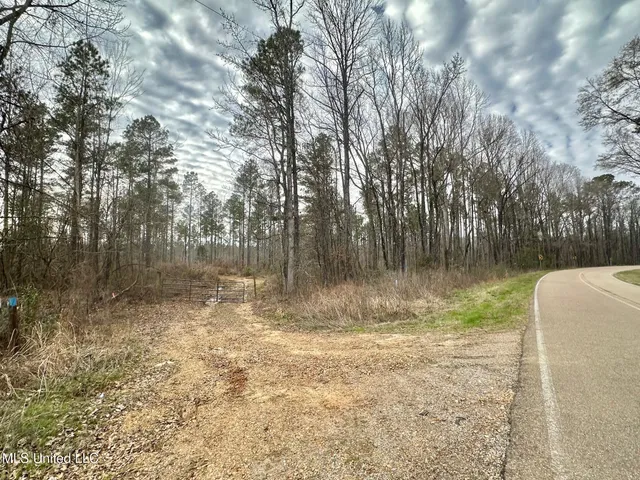 $3,879,000 | 6145 Dry Grove Road, Terry, MS 39170