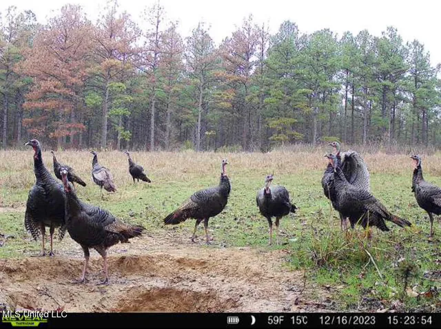 $4,420,000 | 6145 Dry Grove Road, Terry, MS 39170