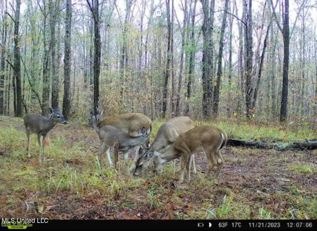 $4,420,000 | 6145 Dry Grove Road, Terry, MS 39170