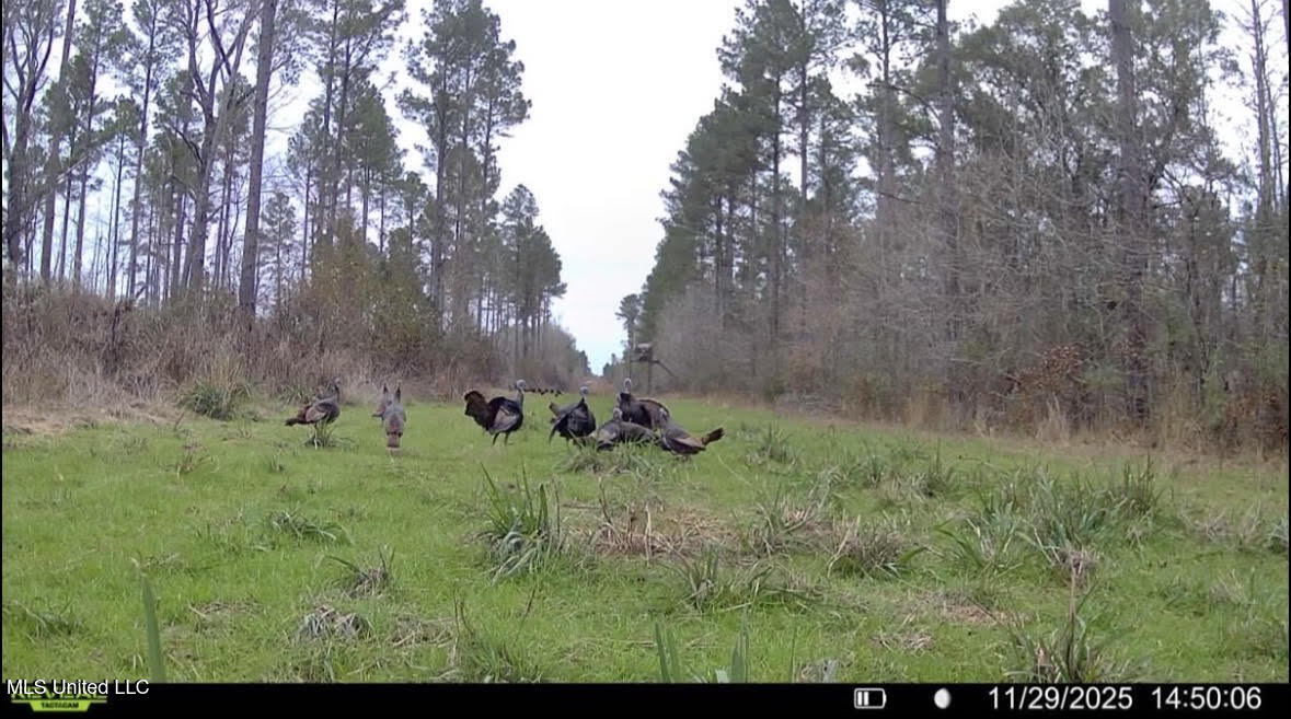 6145 Dry Grove Road Terry, MS 39170 - Photo 92 of 107 691 - Copy