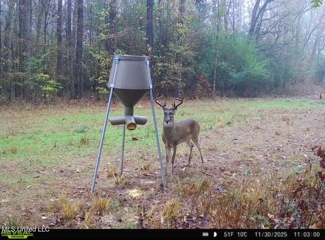 $3,879,000 | 6145 Dry Grove Road, Terry, MS 39170