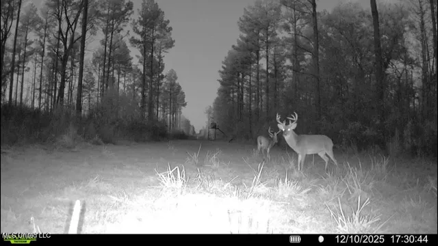 $3,879,000 | 6145 Dry Grove Road, Terry, MS 39170