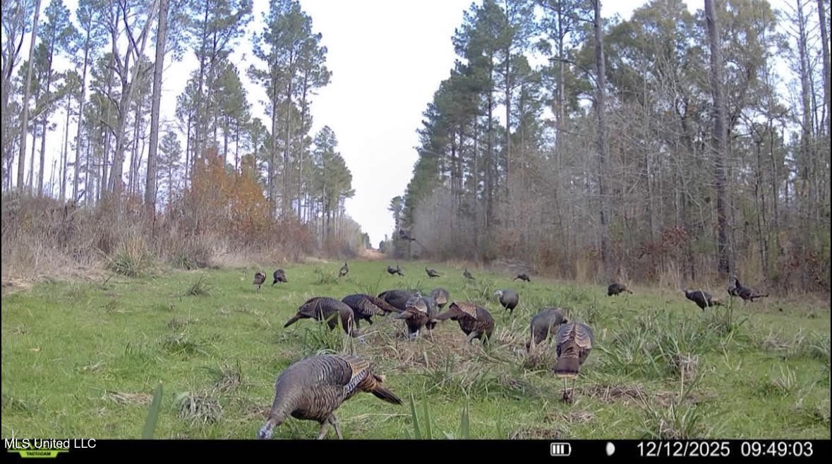 6145 Dry Grove Road Terry, MS 39170 - Photo 95 of 107 695
