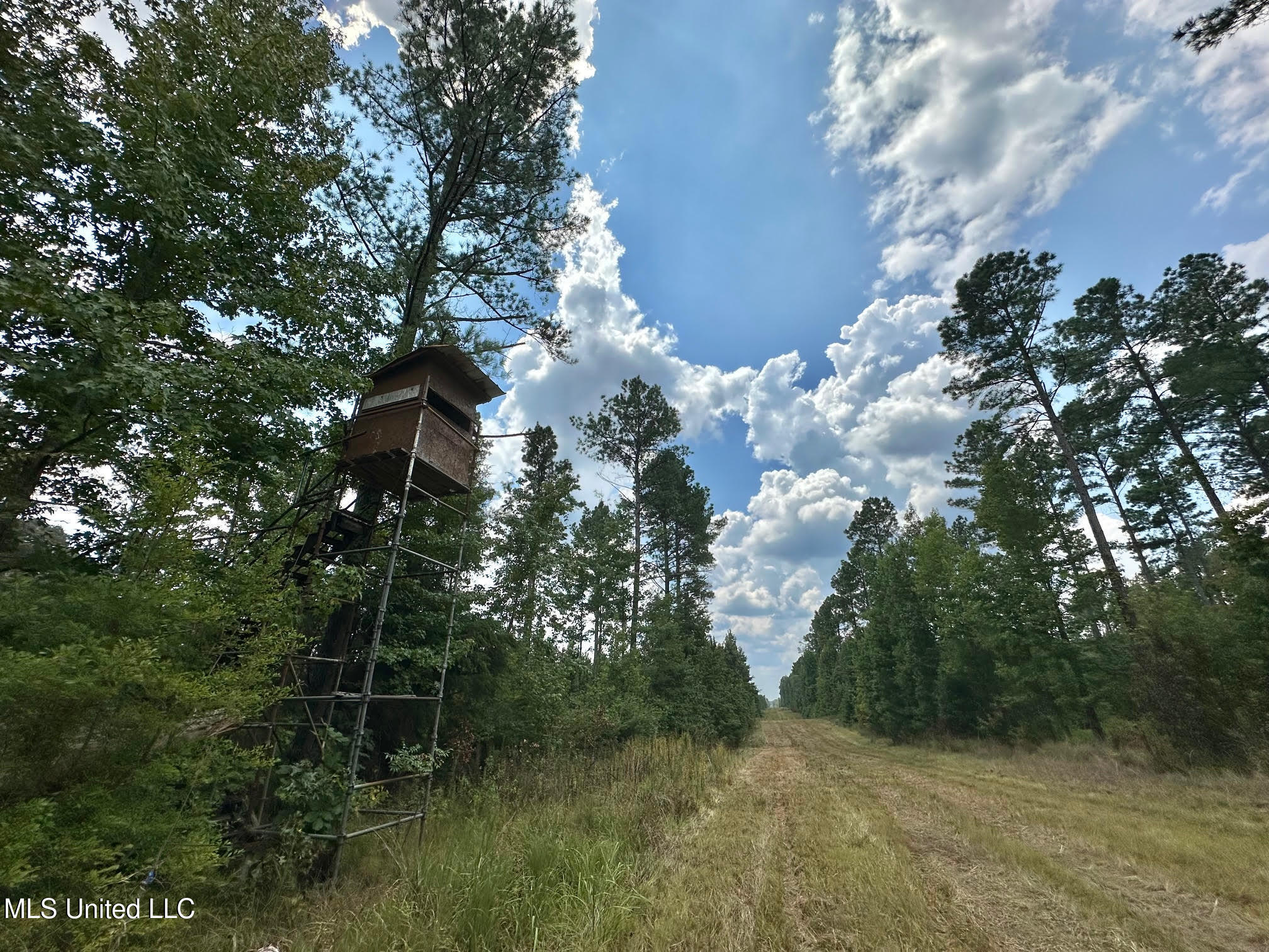 6145 Dry Grove Road Terry, MS 39170 - Photo 10 of 95 11