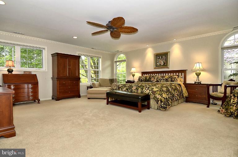 9 Infield Court South Potomac, MD 20854 - Photo 18 of 30 Fabulous Master BR w/high ceiling!
