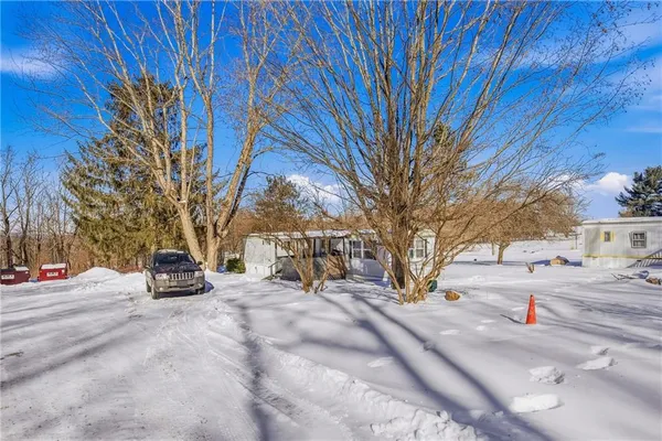 a view of a yard with trees
