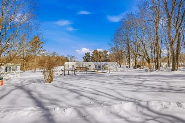 a view of road with large trees