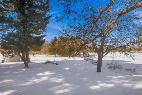 a view of empty yard with a tree