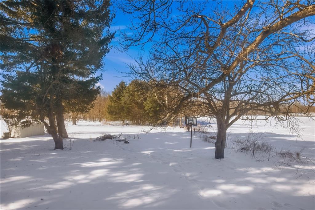 108 Foster Lane Markleton, PA 15551 - Photo 5 of 33 a view of empty yard with a tree