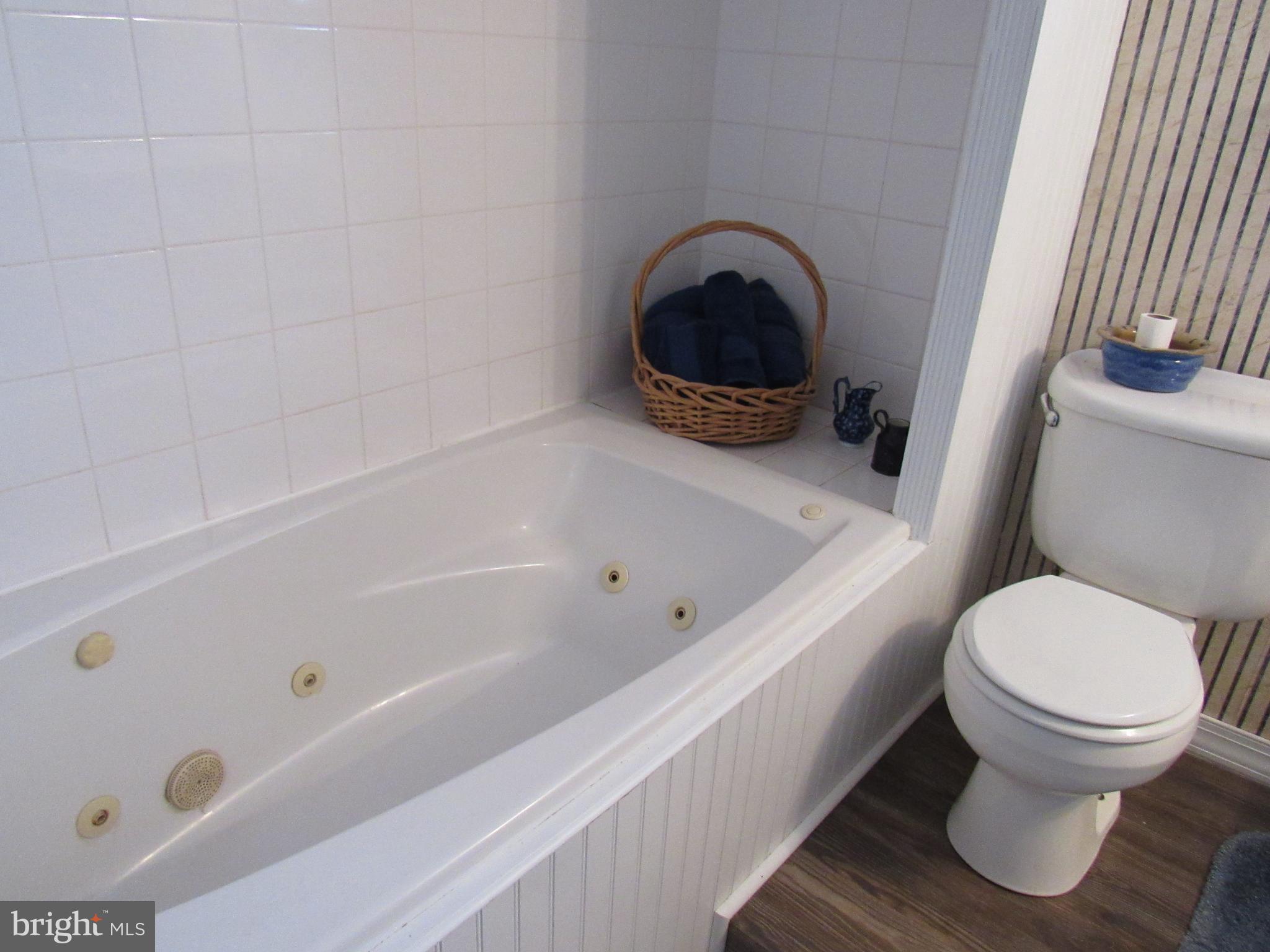 78 South Limerick Road Royersford, PA 19468 - Photo 55 of 59 lower level bath w/ jetted tub