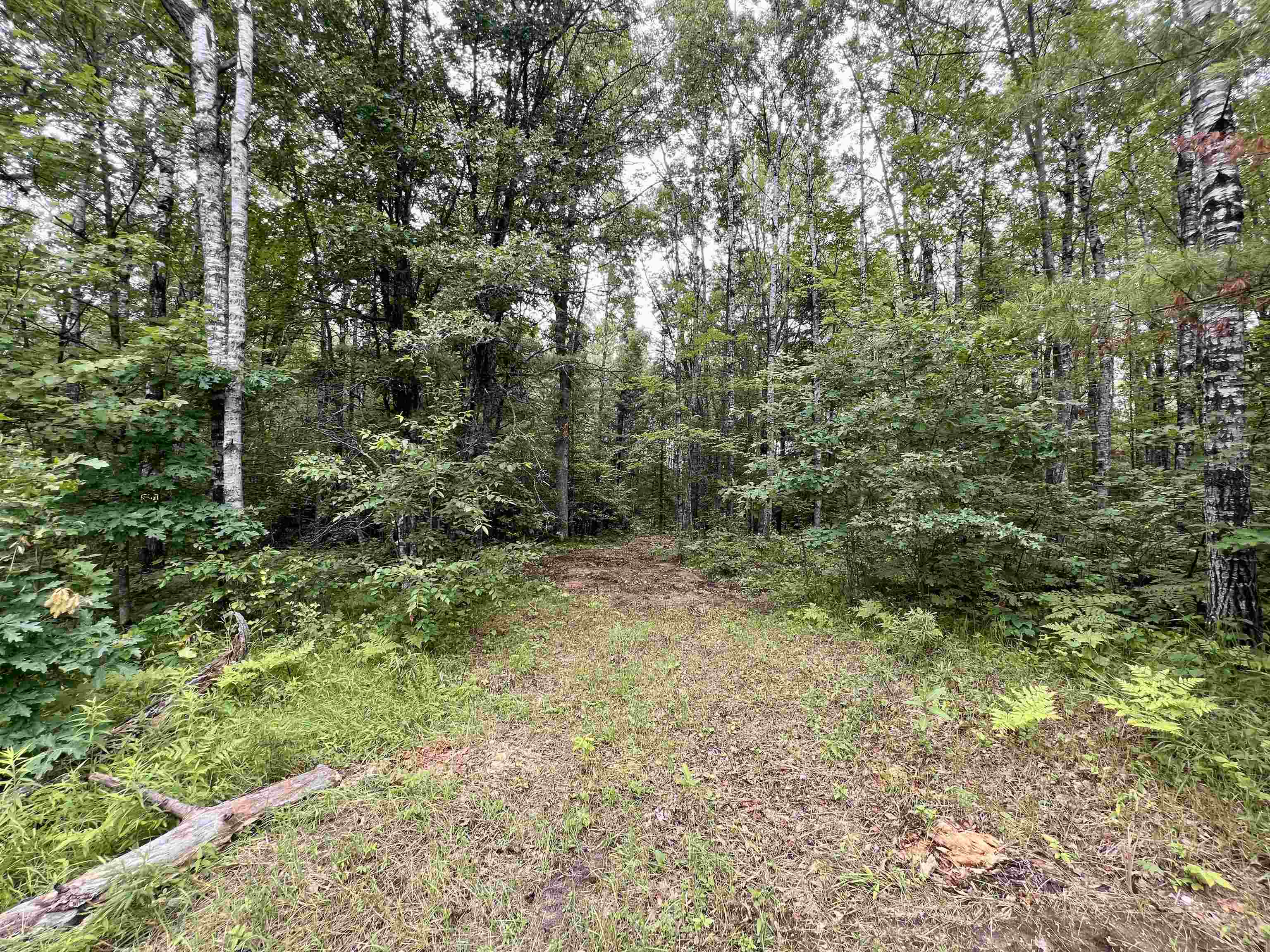 Reynolds Road, Unit 4 Wausaukee, WI 54177 - Photo 1 of 1 Gallery Image 1