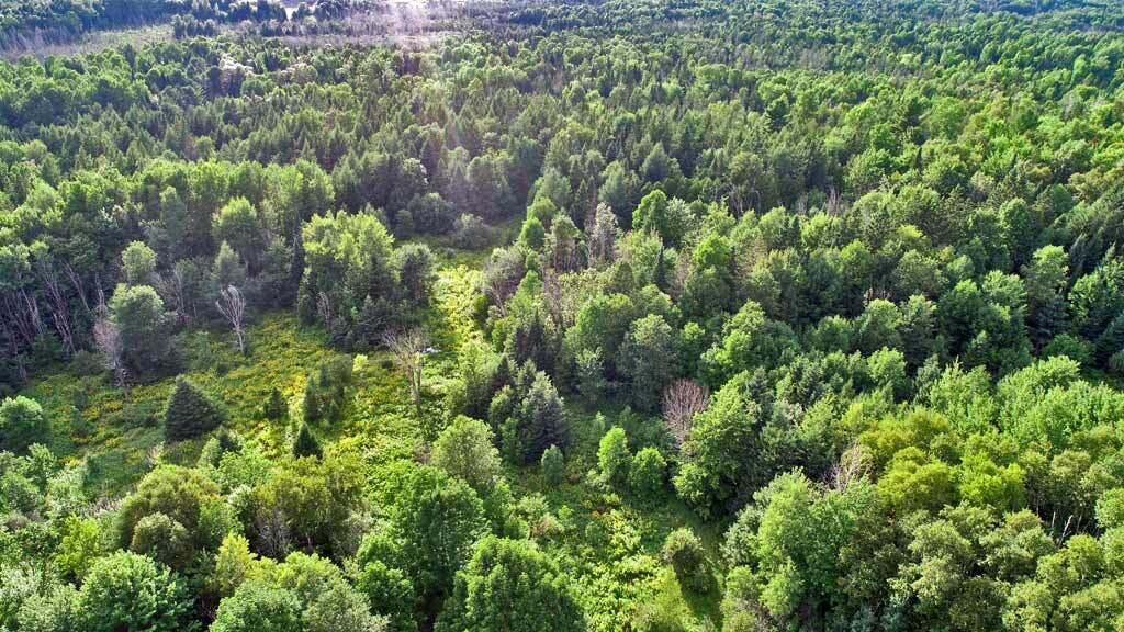 235 Burton Road Linneus, ME 04730 - Photo 96 of 105 maine-farmstead-aerial