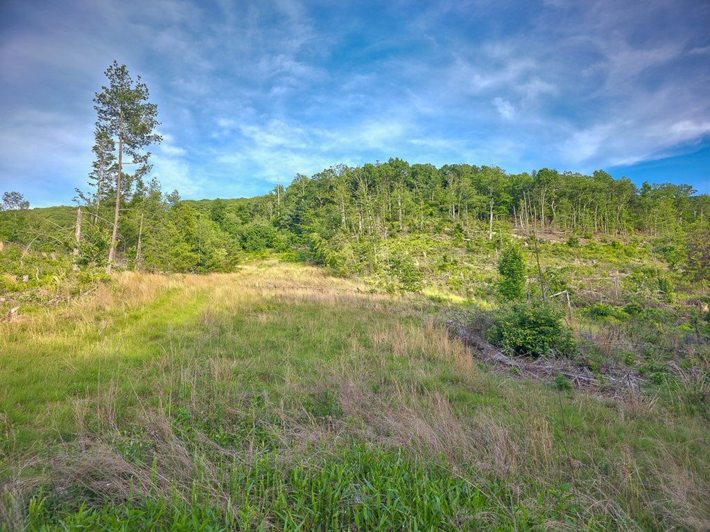 6313 Dunlap Creek Road Covington, VA 24426 - Photo 43 of 46 Gallery Image 43