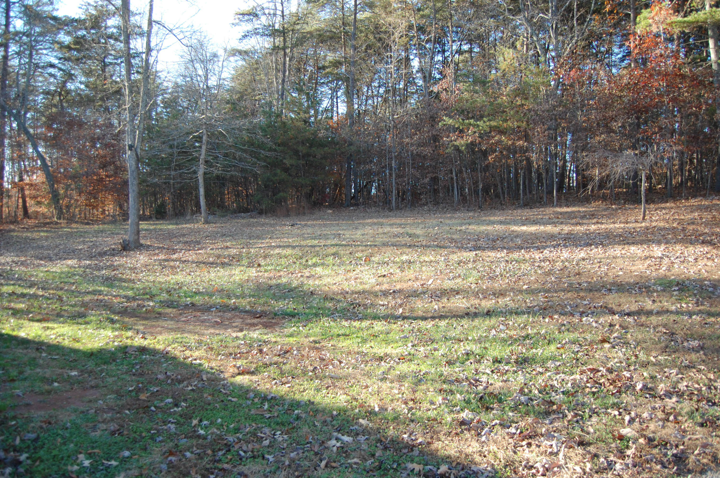 1272 Old Barn Road Moneta, VA 24121 - Photo 3 of 12 Lovely Backyard