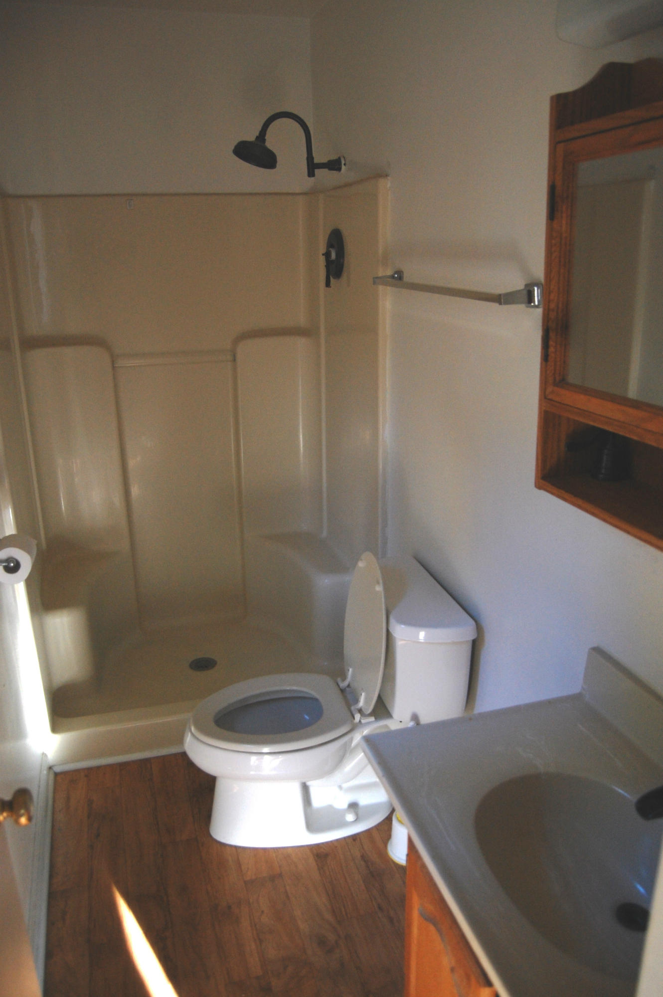 1272 Old Barn Road Moneta, VA 24121 - Photo 5 of 12 Master Bathroom