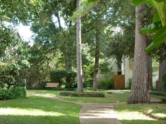 2100 Tanglewilde Street, Unit 702 Houston, TX 77063 - Photo 15 of 19 Beautiful Mature Trees accent this community.