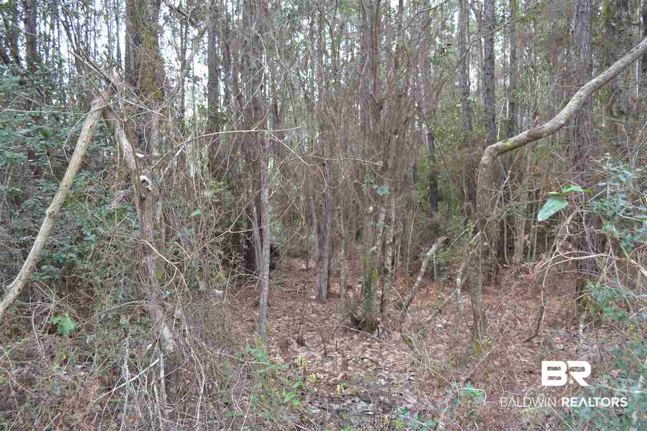 0 Mohr Lane Elberta, AL 36530 - Photo 8 of 15